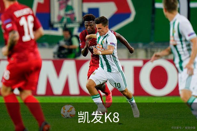 凯发K8公司简介展示图